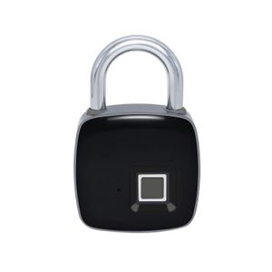 Acier Inoxydable 1x Disque Cadenas /& zinc plaqué acier Hasp /& Staple Ensemble 2 pièces