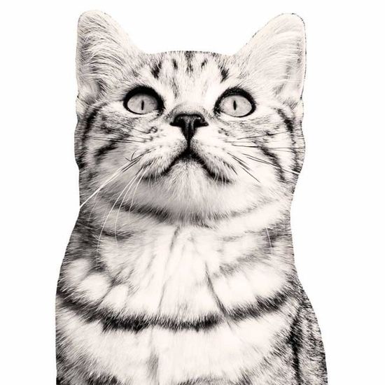 Sticker Photo Animal Tete Chat 30 X 42 Cm Achat Vente Stickers Soldes Sur Cdiscount Des Le Janvier Cdiscount Sticker Photo Animal Tete Chat 30 X 42 Cm Achat Vente Stickers Soldes Sur Cdiscount Des Le Janvier Cdiscount