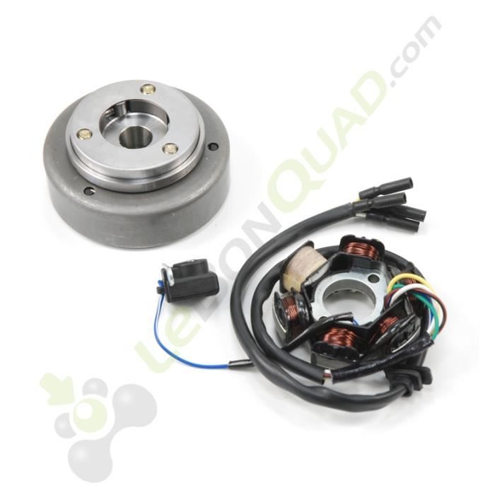 Allumage rotor + stator pour moteur démarreur électrique de Quad 110
