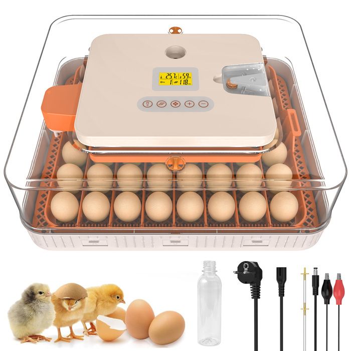 Meilleurs prix pour Couveuse Automatique 56 Oeuf - Fenêtre 360° Lampe À Mirer - Pour Oeuf De Poules Canards Cailles Et Volaille Incubateur à œufs