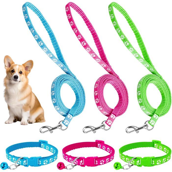 Lot de 3 Colliers et Laisses pour Chiots Nylon Doux Réglable avec Boucle Accessoires pour Petits Chiens et Chats