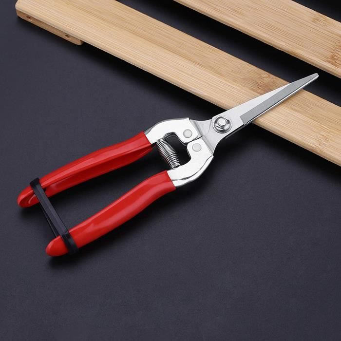 Sécateur Durable Pour Bonsaïs D'Arbres Fruitiers - Outil De Greffage De Ciseaux De Jardin Pour