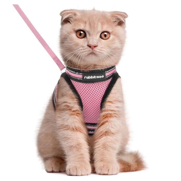 Comparer les prix de Rabbitgoo Harnais Chat Harnais pour chaton/petit chien Harnais Respirant et Bande Réfléchissante réglables -Taille S -Rose