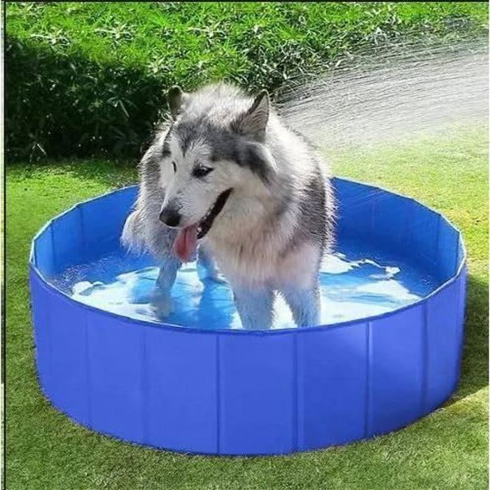BOODPET Piscine pour Chien Pliable 260 x 165 x 55 cm, Baignoire Portable Non Gonflable pour Chiens, Bassin de Bain en PVC Épais avec Vidange, Fond Antidérapant, Jardin Extérieur, Bleu