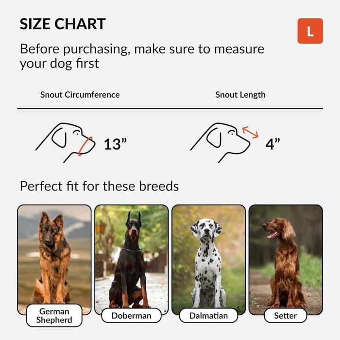 Muselière En Cuir Pour Chien Berger Allemand/Malinois - Protection Pour Mâchonnement Et Toilettage - 9