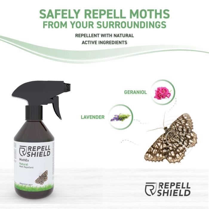 RepellShield Spray Anti Araignées Naturel - Produit Anti Araignées, 250 ml