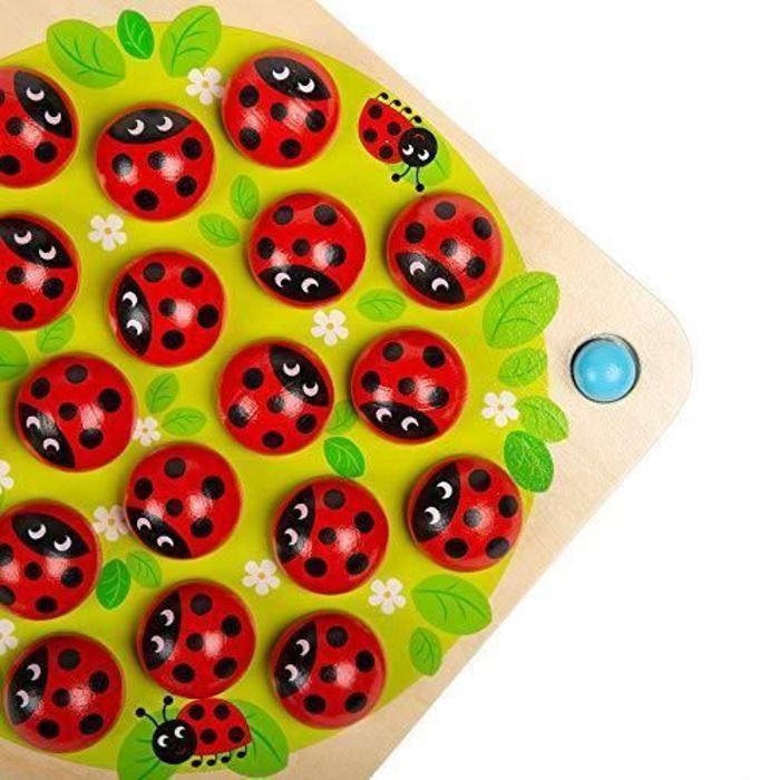 Jeu de Mémoire Jardin des Coccinelles - Jeu Éducatif en Bois pour