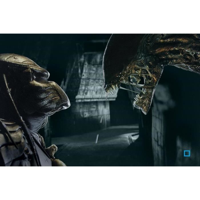 DVD Alien VS predator - Cdiscount DVD