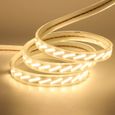 DUVERT Ruban à LED, Bande LED Etanche, Lumineux Bandeau Led 220v, 5050 IP65 Etanche Bande Strip Led, Blanc Froid (1m DUVERT Ruban à LED, Bande LED Etanche, Lumineux Bandeau Led 220v, 5050 IP65 Etanche Bande Strip Led, Blanc Froid (1m