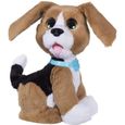 hasbro chien interactif