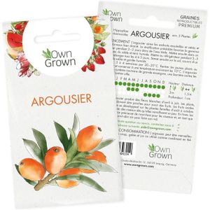 GRAINE - SEMENCE Graines d'Argousier : Kit d'Argousier pour environ 5 semis à planter et faire pousser - Graine d'arbre fruitier, fruit du.[Y634]