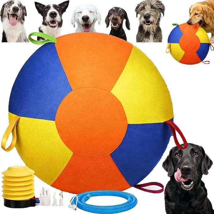 Aishang Balle Géante pour Chien 55cm (22) - Anti-déchirure avec Poignée & Pompe - Pour Exercice Dressage Extérieur 2026 JOUET