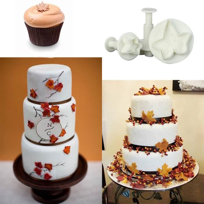 3pcs Feuille D Erable Fleur Gateau Fondant Cookie Decoration Moule A Plongeur Ys198t Achat Vente Moule 3pcs Feuille D Erable Fleur Cdiscount