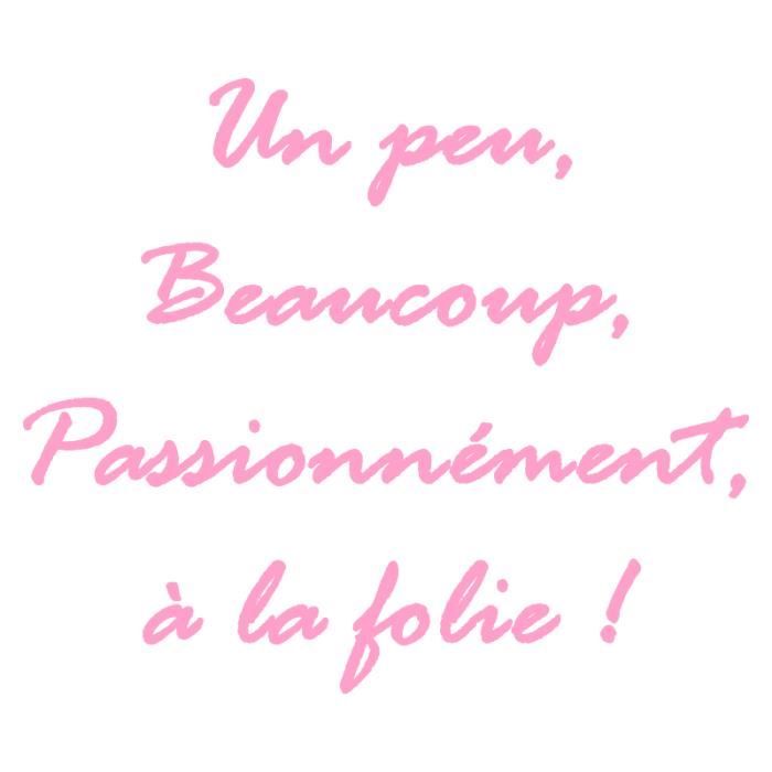 Stickers Citation A La Folierose Bonbon 101 8 X 1 Cm Achat Vente Stickers Cdiscount