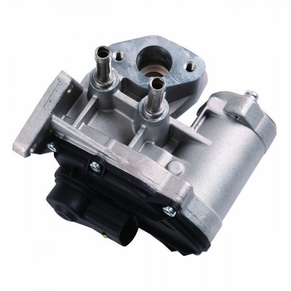 Vanne EGR pour VOLKSWAGEN GOLF PLUS 1.4 FSI 122004052008 Cdiscount