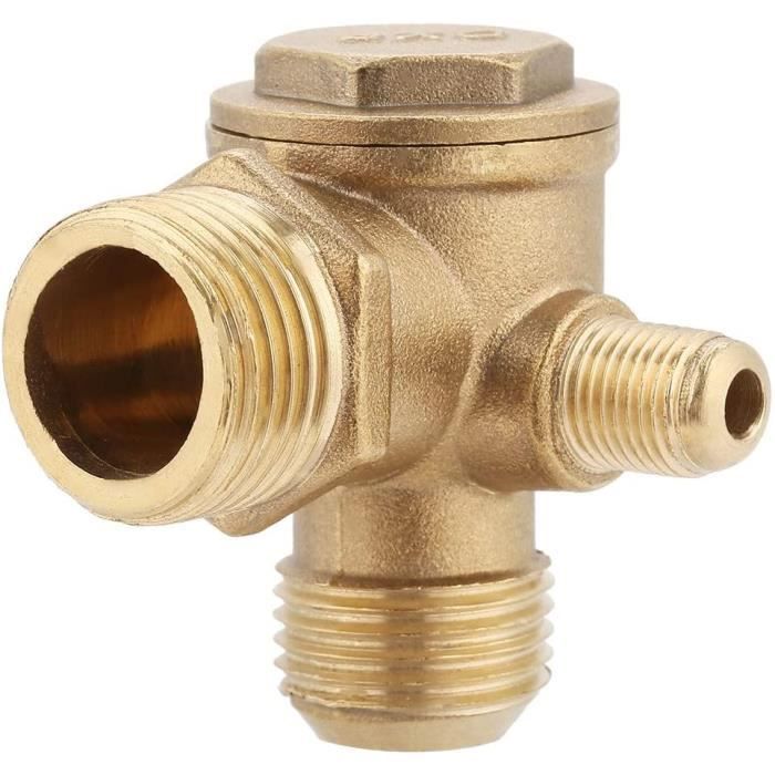 Clapet antiretour pour compresseur d