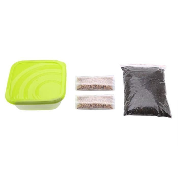 Kit Densemencement De Graines Dherbe De Chat Kit De Germination De Graines Dherbe De Blé Pour Chat Chaton Lapin Cochon Di