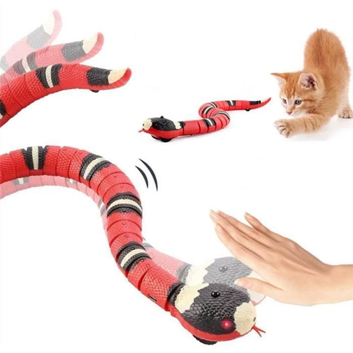 Comparer les prix de Jouet Serpent pour Chat - ZGEER - Jouet - Plastique - Intérieur - Jeux