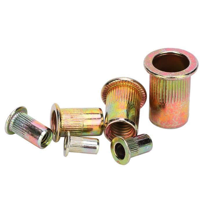 Écrou À Riveter Jeu D'Écrous À Rivets Plaqués Zinc, 200 Pièces, Avec ...