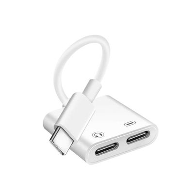 Avizar Adaptateur USB-C Mâle vers Double USB-C Femelle Audio et Charge  Compact Blanc - Câble & Adaptateur - LDLC