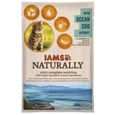 Iams chat