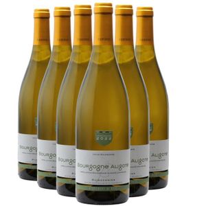 VIN BLANC Bourgogne Aligoté Blanc 2022 - Lot de 6x75cl - Cav