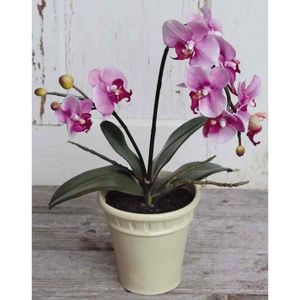 FLEUR ARTIFICIELLE artplants.de Orchidée Phalaenopsis Artificielle Zahra, Pot en céramique, Rose, 60cm - Fausse orchidée - Phalaenopsis Artificiel