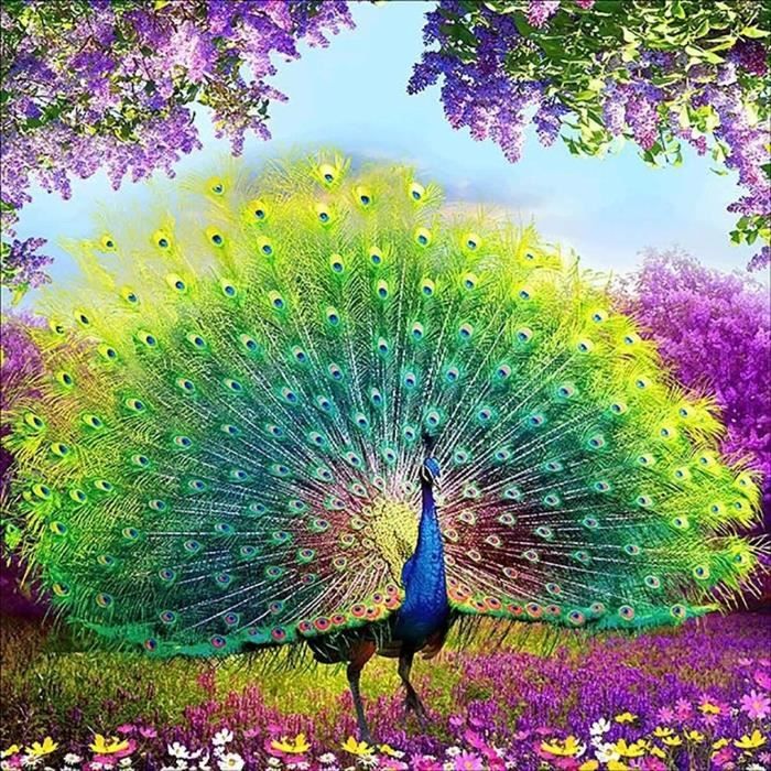 5D Diamond Painting DIY Kits Paon, Fleur Animal Plume De Paon Broderie Diamant Kits De Broderie Au Point De Croix Strass Rond R&150
