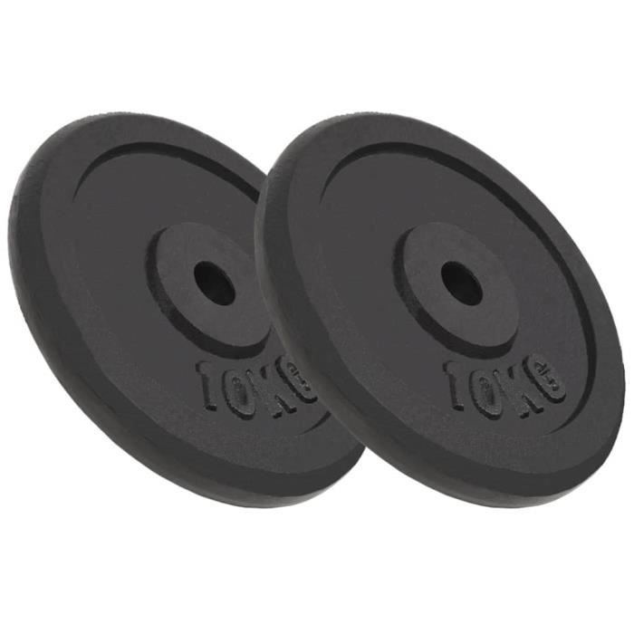 Plaque de poids 2 pcs 20 kg Fonte