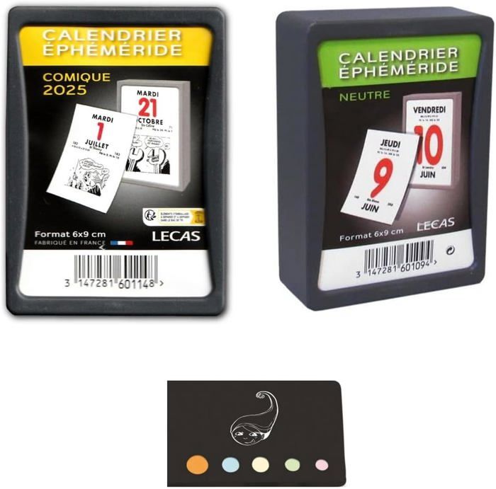 Lot 2 Calendriers 2025 Oberthur à Effeuiller + Index Adhésif – Grand + Mini Classique