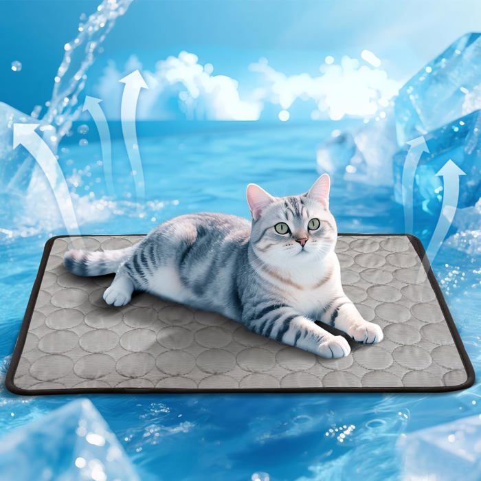 Tapis rafraîchissant chien/chat 60×50 cm soie glacée coussin frais idéal canapé panier ou cage lavable sans eau