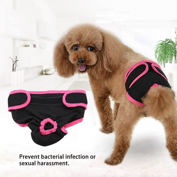 Chien vetement femme online