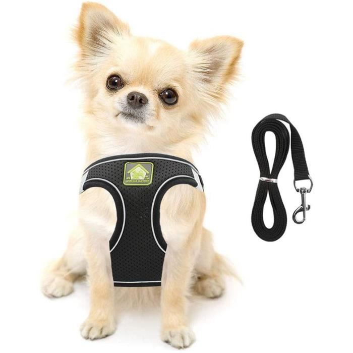 Harnais FEimaX Harnais Petit Chien Chat 