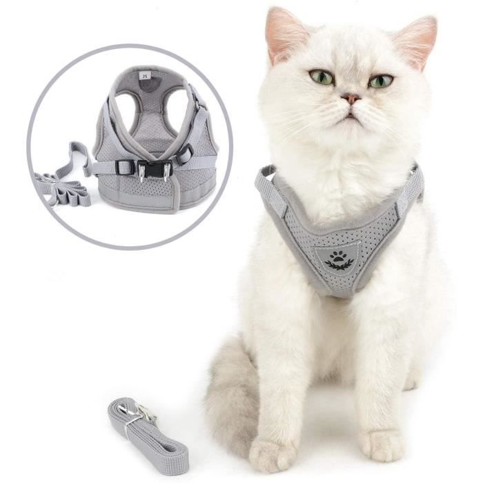 Selmai Harnais Chat Adulte Reglable Reflechissant Maille Douce Harnais Veste Anti Traction Petit Chien Harnais Classique Cdiscount Selmai Harnais Chat Adulte Reglable Reflechissant Maille Douce Harnais Veste Anti Traction Petit Chien Harnais Classique Cdiscount