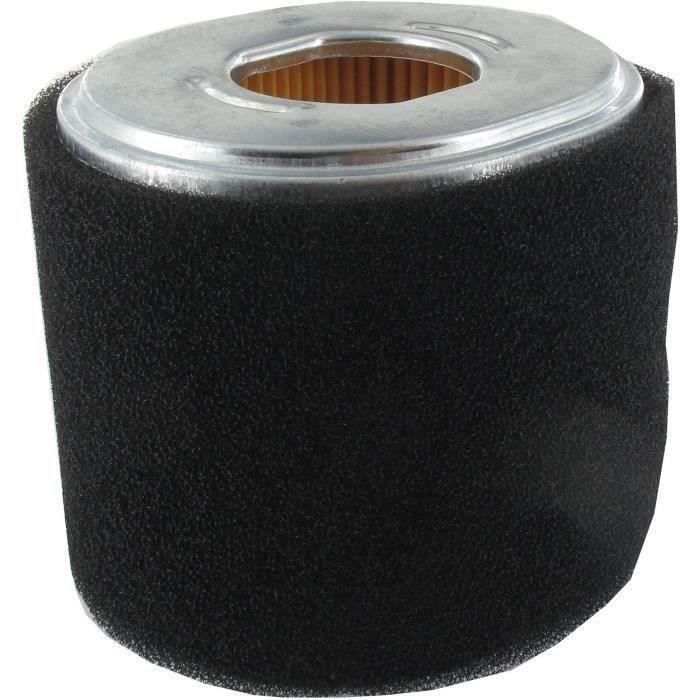 Filtre à air LONCIN pour moteurs G340F et G420F