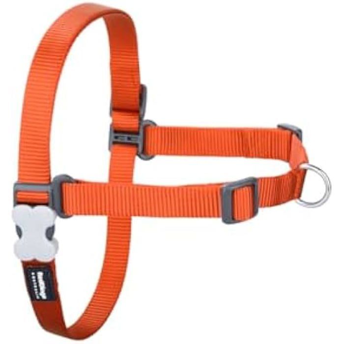 Comparer les prix de Harnais pour Chien - RED DINGO - Orange - Taille S - 36-50 cm - Multicolore