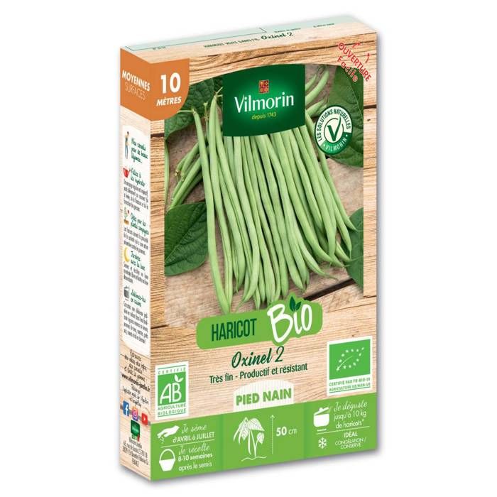 French Filet BEANS GOURMET Qualité sans fil Haricots SUPERBE goût 50 fresh seeds French Filet BEANS GOURMET Qualité sans fil Haricots SUPERBE goût 50 fresh seeds