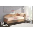 Canapé en lit Convertible avec Coffre de Rangement 3 Places Relax Droit - en Tissu - Salon & séjour ARGEA (Beige + Marron)-1
