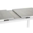 Table rectangulaire extensible pour 6/8 personnes - Gris Perle - 180/240 x 100 x 76 cm - JARDILINE - Aluminium-2