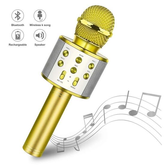 Instrument de Musique Enfant,Sans fil Bluetooth karaoké Microphone 3in1  poche karaoké micro pour enfants cadeau de noël - Type Blue - Cdiscount  Jeux - Jouets