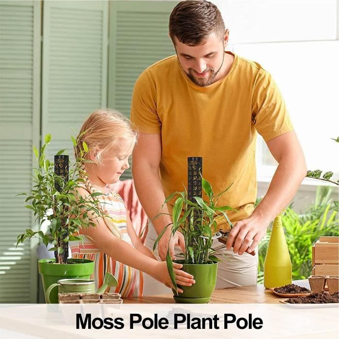 YOSOO piquets de plantes Poteau de mousse pour plantes grimpantes
