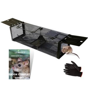 Piège à Souris Vivante - 2X Attrapes Souris Réutilisables - Piège Souris  sans Danger pour Enfants et Animaux Domestiques - Attraper et Relâcher sans  Cruauté ! : : Jardin