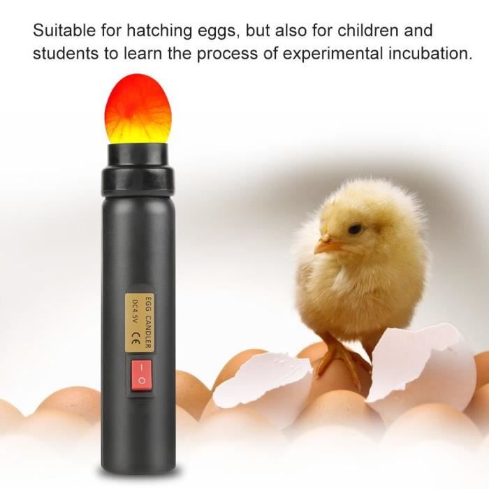 Mire œuf LED à haute intensité lumière, Egg Candler Candling Lampe pour Vérifier l’incubation d’oeuf