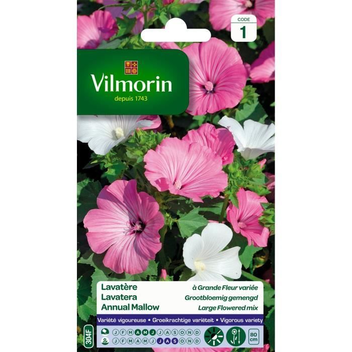 VILMORIN Lavatère à grande fleur variée