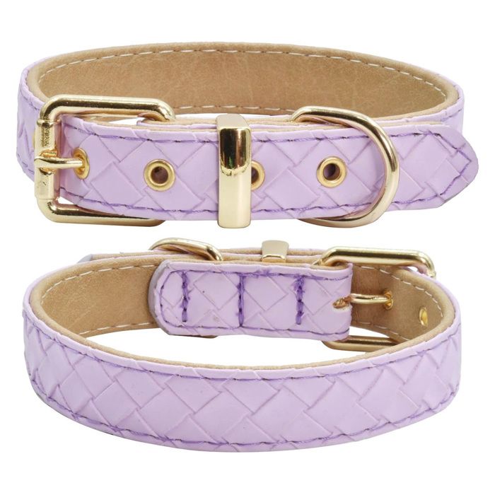 Collier pour animaux 27-32 cm Avec boucle en alliage Taille ajustable Respirant Convient aux chiens de petite et moyenne taille