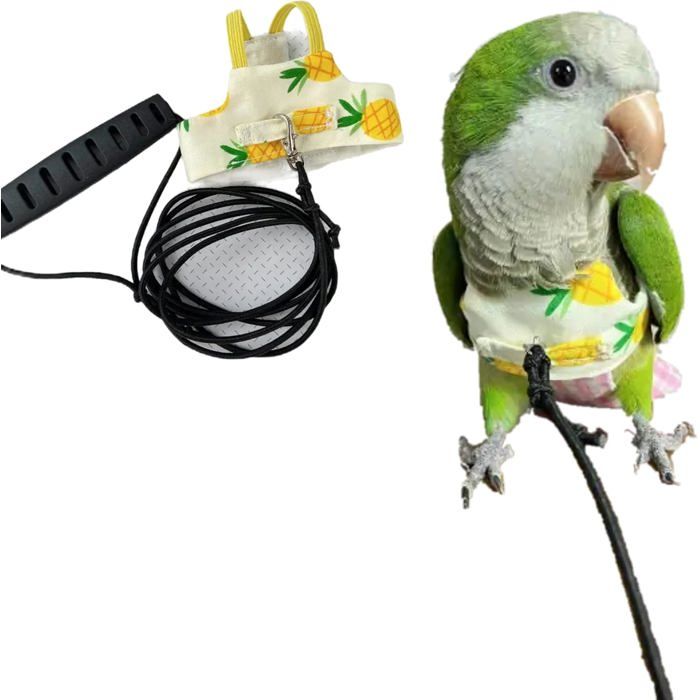 Harnais pour Oiseau avec Laisse 2 m Gilet de Vol Taille M Léger Respirant pour Perruche et Perroquet Jaune