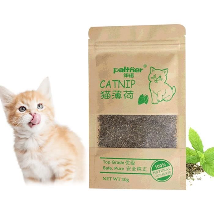 Animalerie pour chat : Herbe à chat Cataire