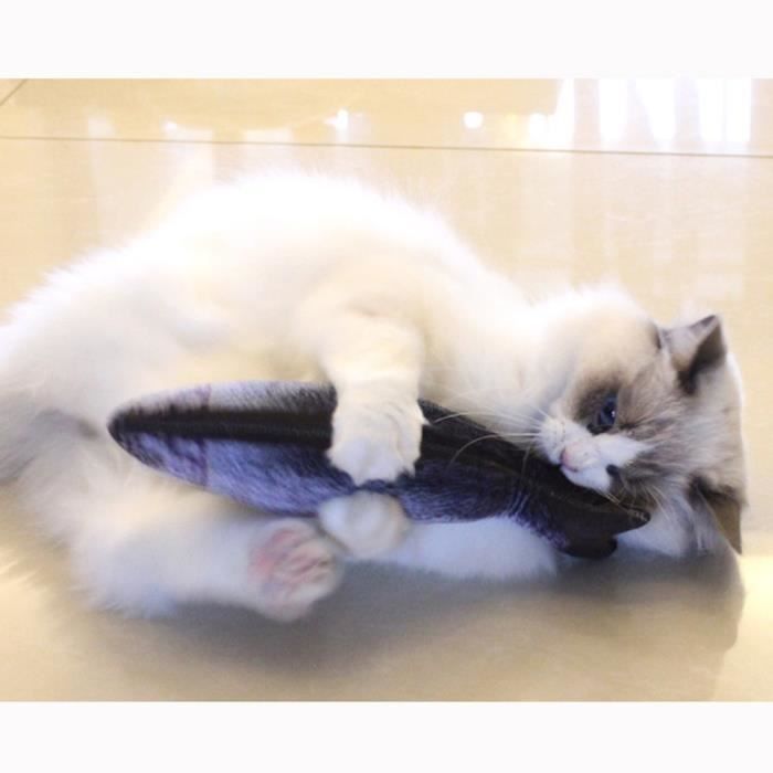 Pet Chat Chaton Macher Chat Jouet Peluche Poisson Menthe Pet Interactive Chaton Produit Noir Ymfl 3780 Cdiscount