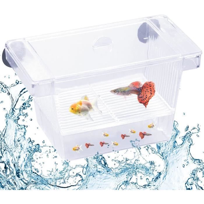 Boîte D'élevage D'aquarium, Couveuse Poisson, Incubateur Transparent,  Isolation Hatchery Box pour Crevette et Tortue avec Couvercle - Cdiscount
