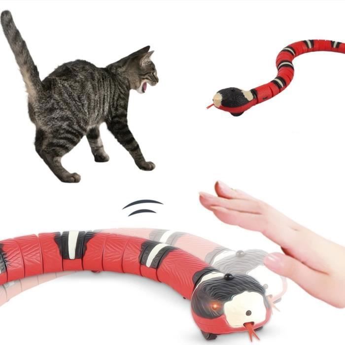 Meilleurs prix pour Jouet électrique pour animaux - ZGKWL - Serpent interactif - 40 cm - Non toxique - Charge USB